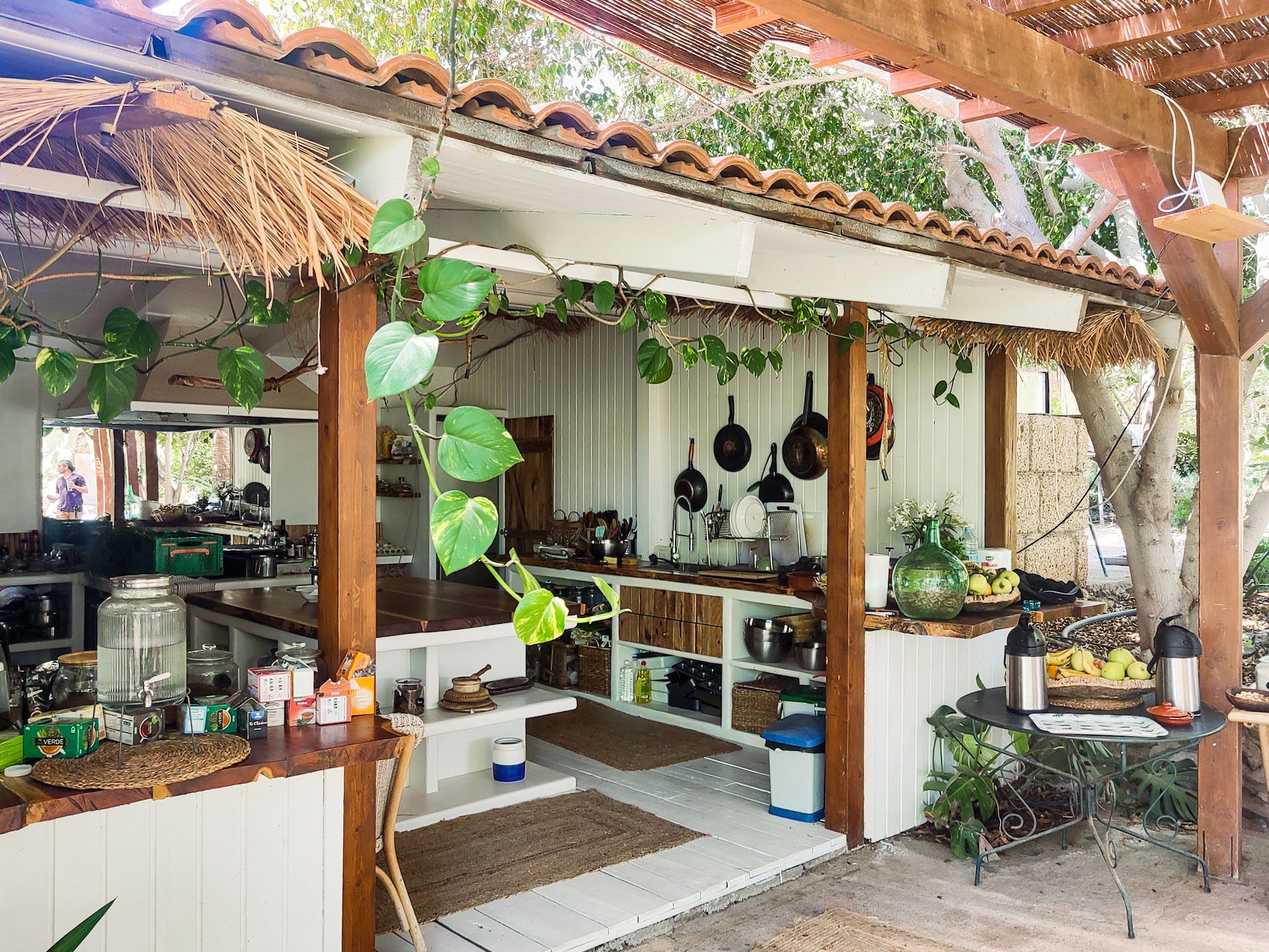 Photo of the outdoor kitchen at Symbiosis Living